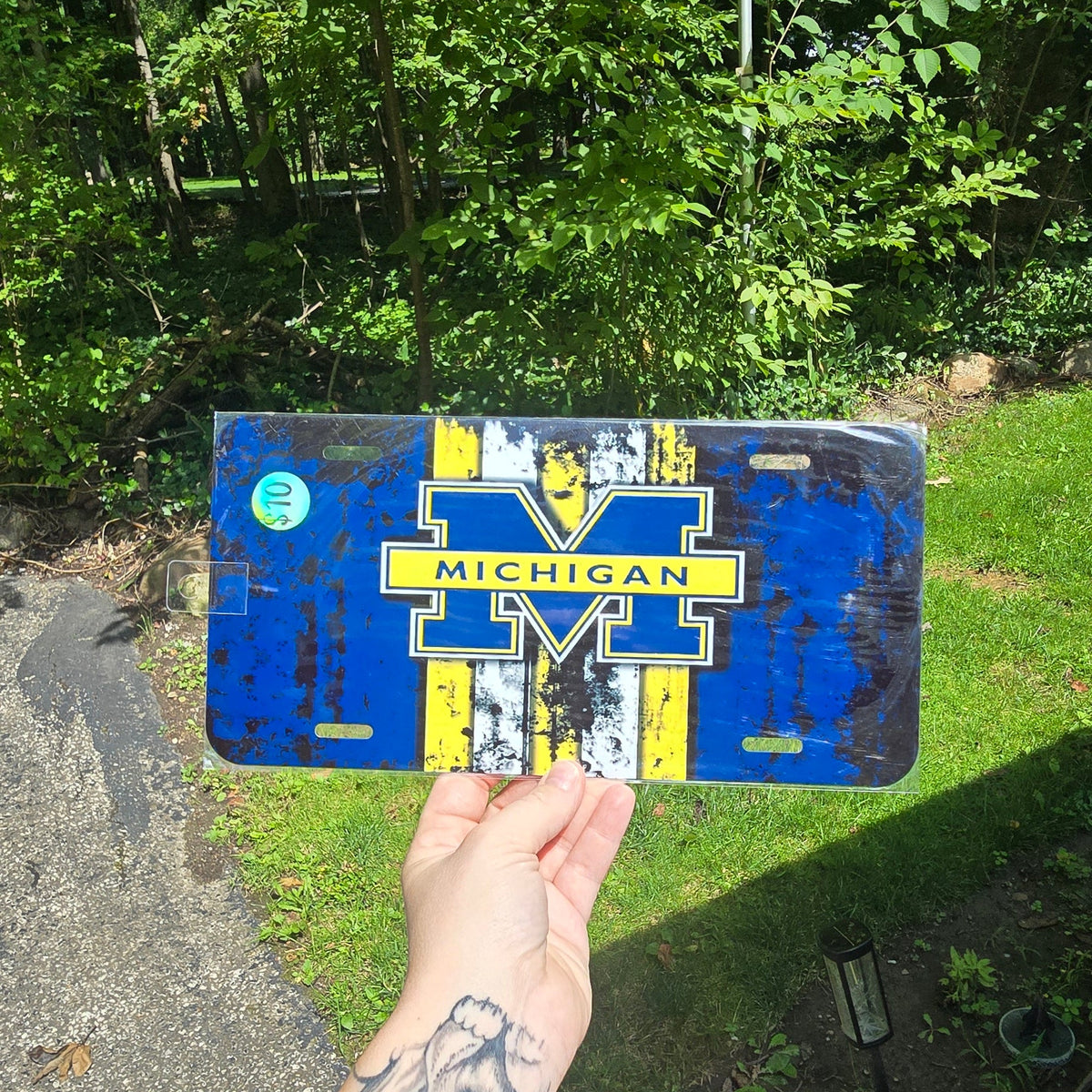 Decorative Front Plate- Michigan