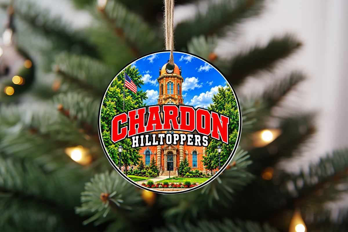 3 Christmas Ornament