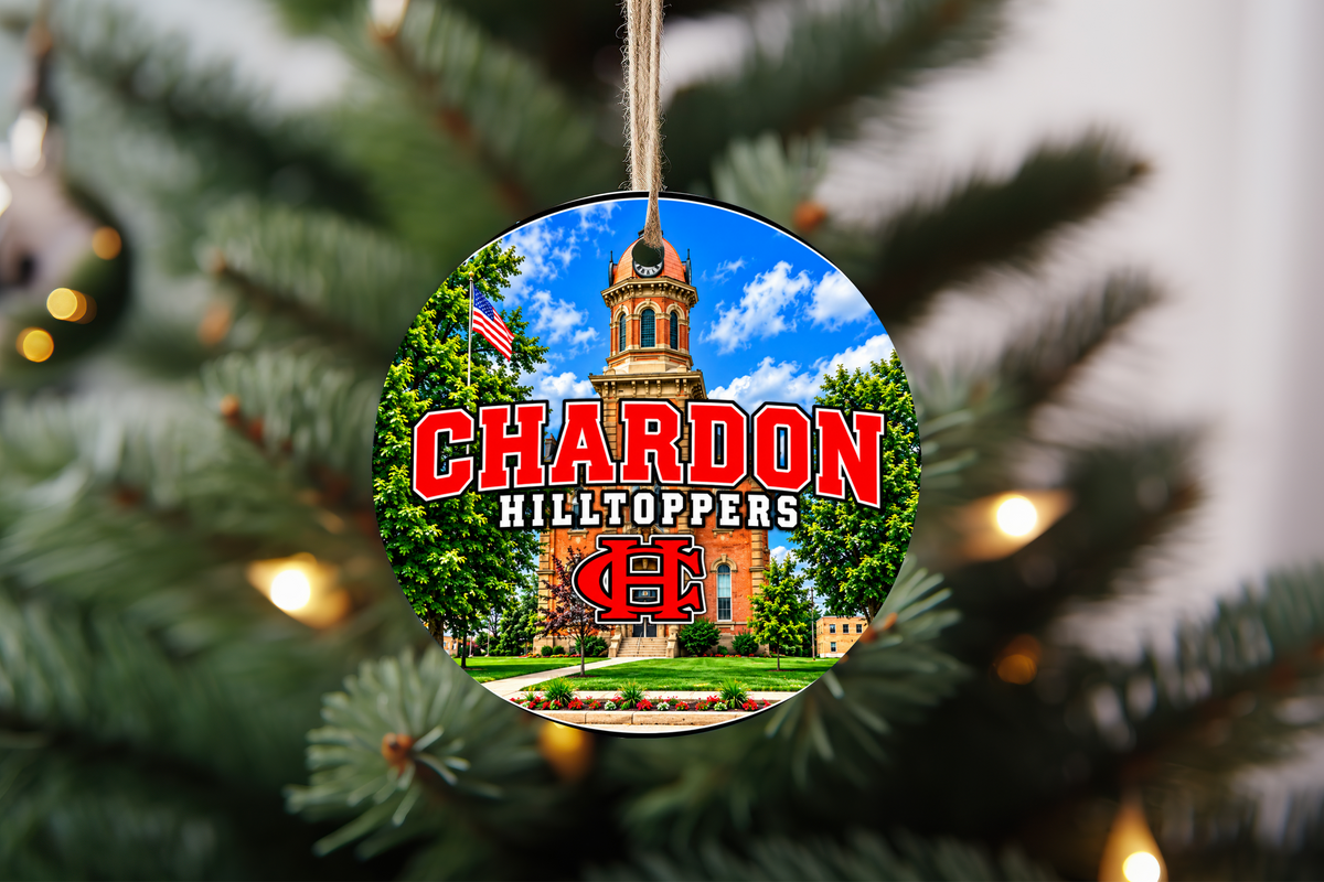 4 Christmas Ornament