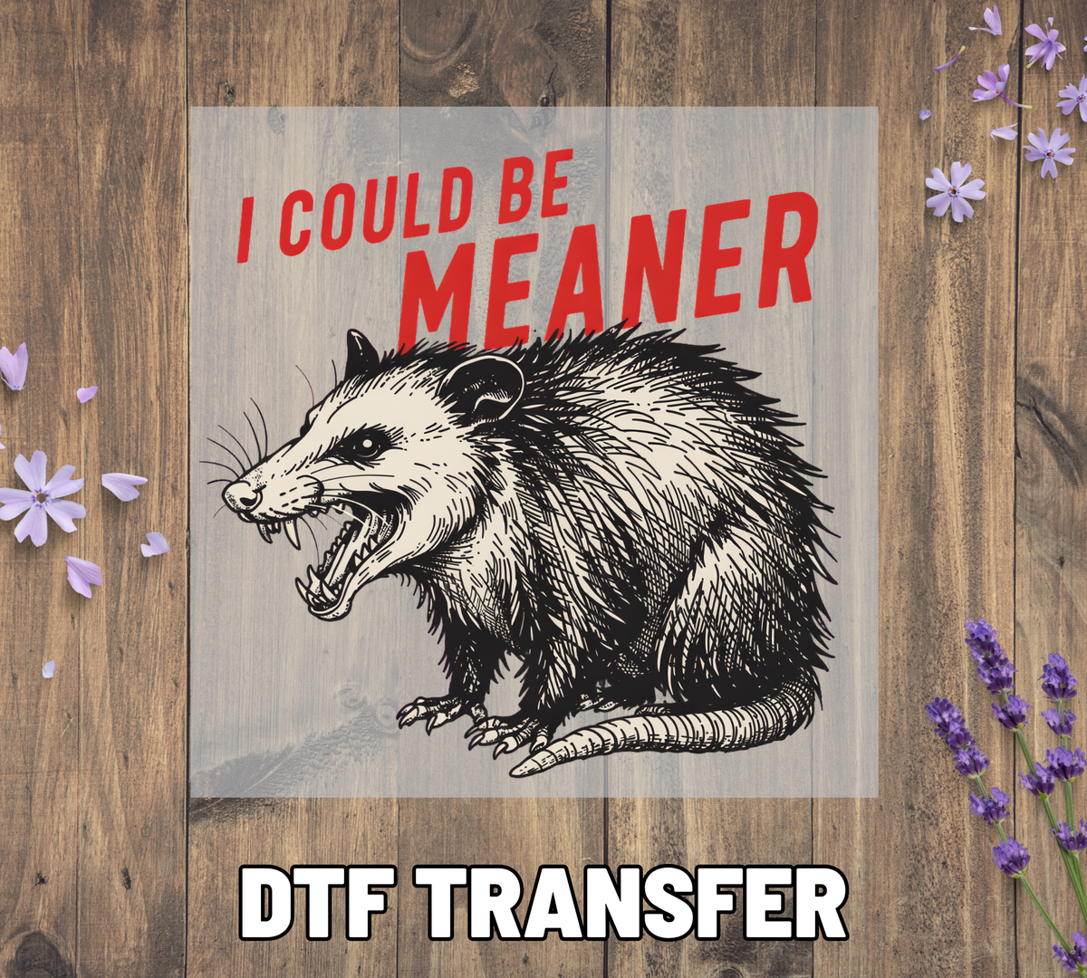 072 I Could Be Meaner