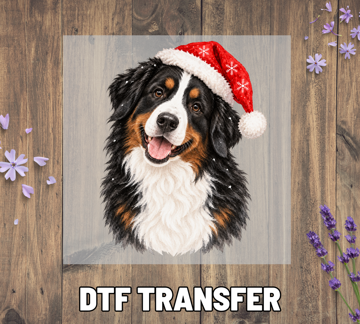 Santa Hat Bernese Mountain
