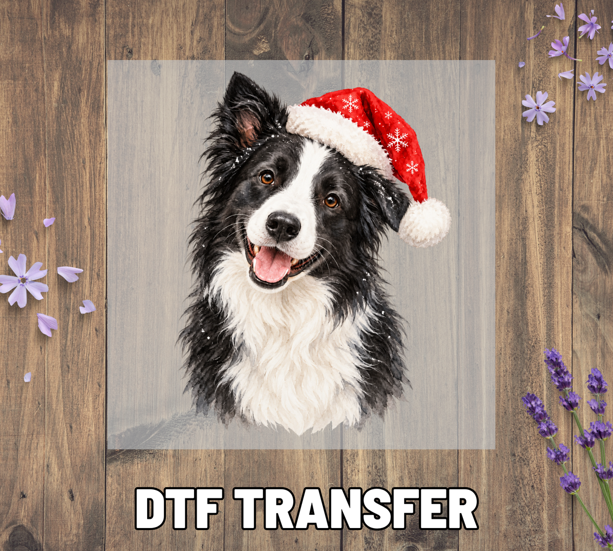 Santa Hat Border Collie