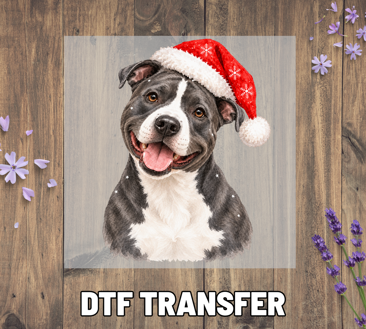 Santa Hat Pitbull