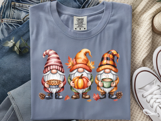 005 Fall Gnomes