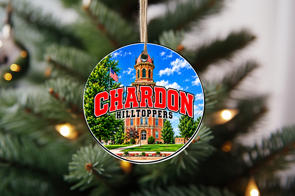 1 Christmas Ornament