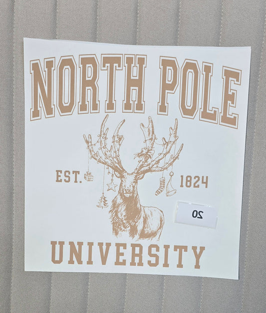 20 North Pole