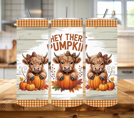 047 Hey There Pumpkin