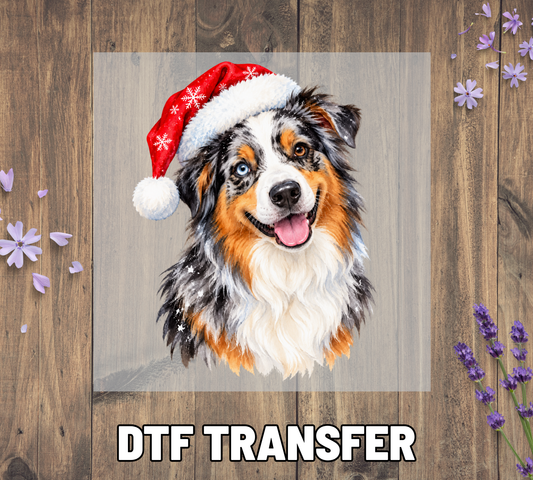 Santa Hat Australian Shepherd