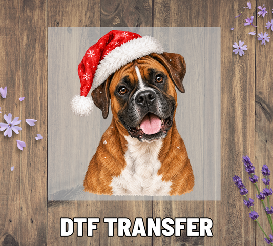 Santa Hat Boxer
