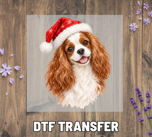 Santa Hat Cavalier King Charles Spaniel