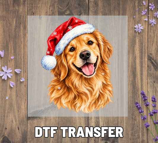 Santa Hat Golden Retriever