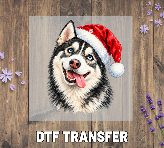Santa Hat Husky