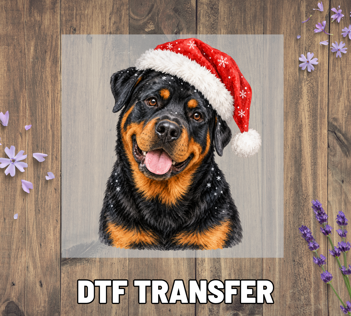 Santa Hat Rottweiler