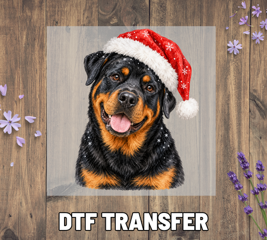 Santa Hat Rottweiler