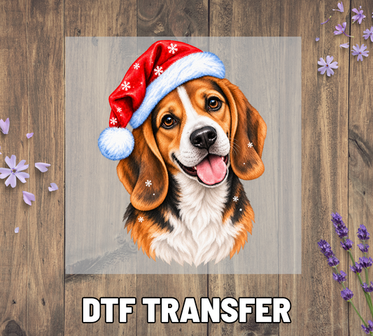 Santa Hat  Beagle