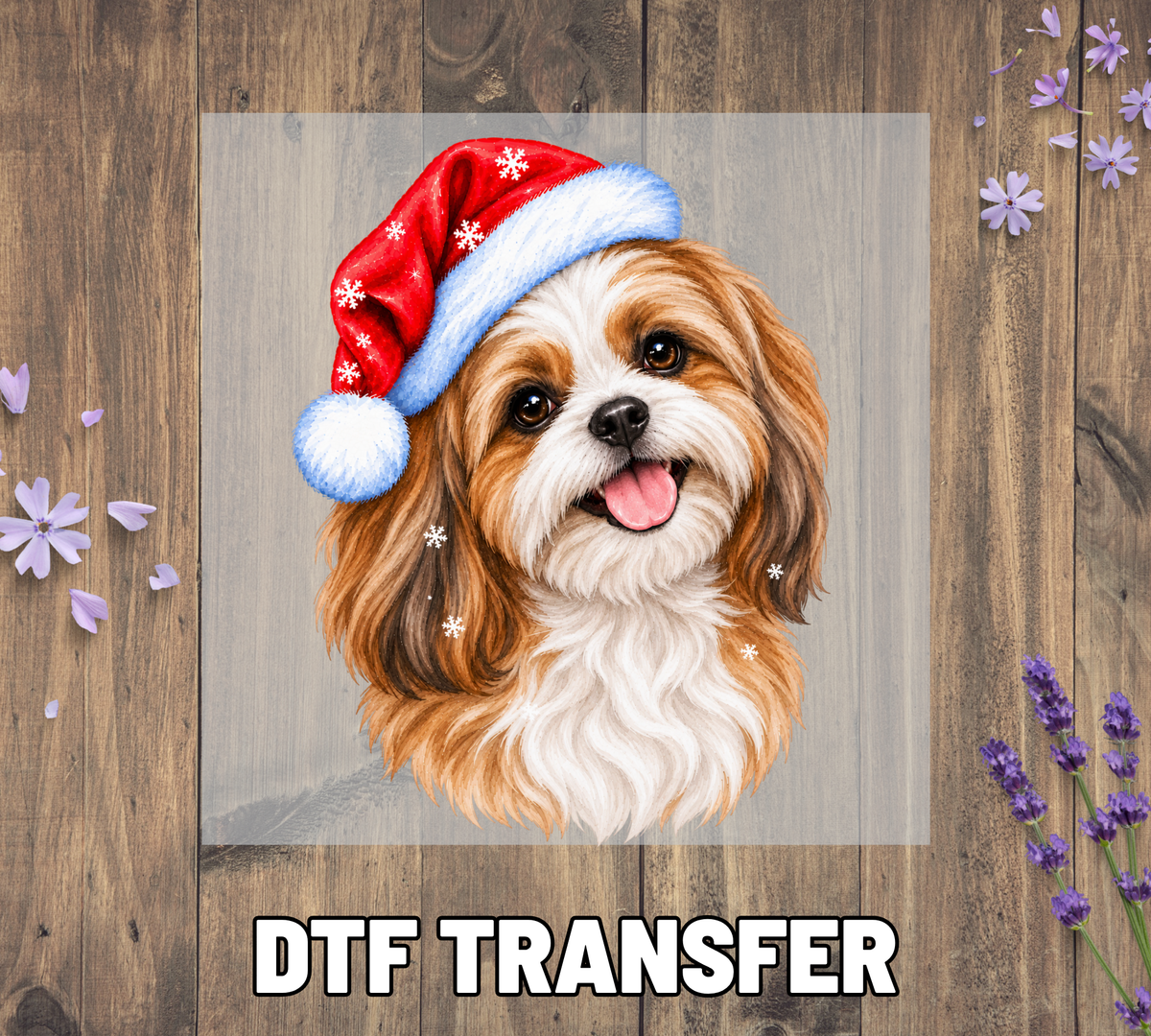 Santa Hat Shih Tzu
