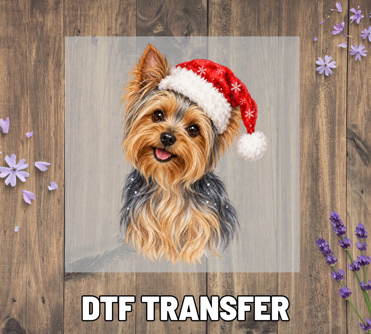 Santa Hat Yorkshire Terrier