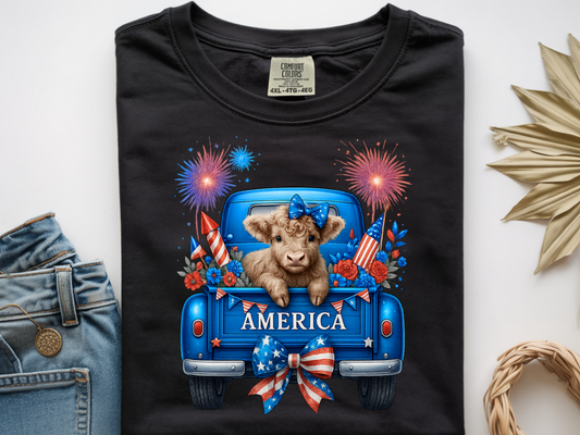 022 Blue America Truck