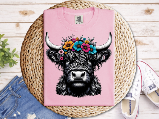 Highland Cow