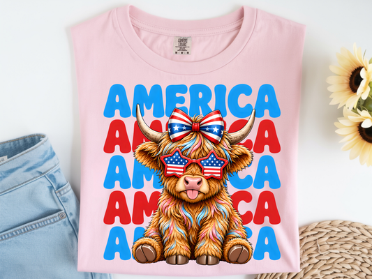 023 America