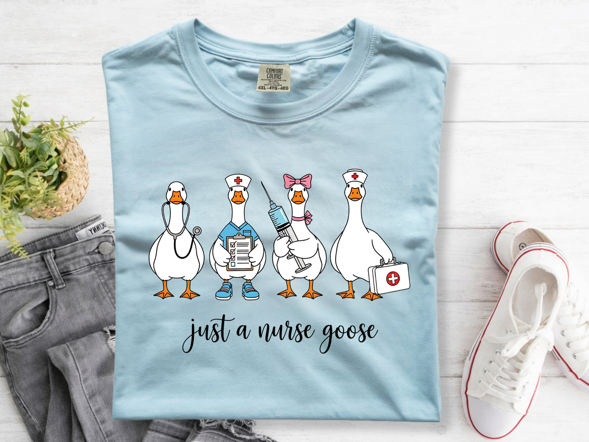 019 Nurse Goose