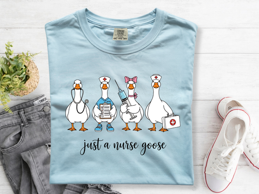 019 Nurse Goose
