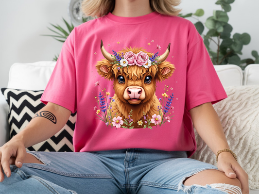 Highland Cow