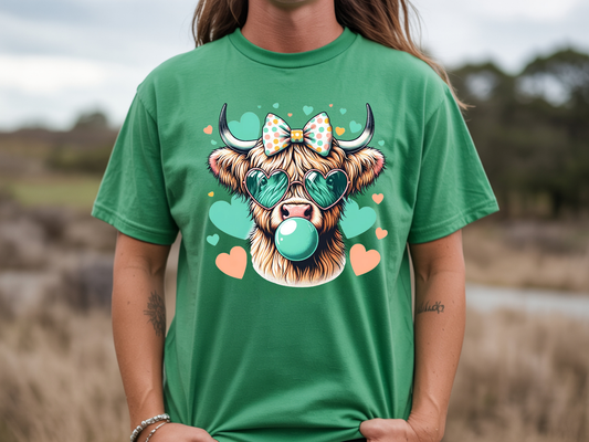 Highland Cow