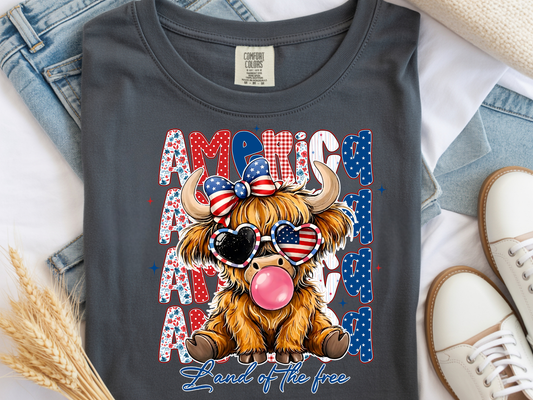 Land of The Free